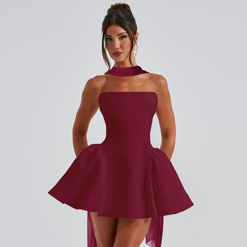 Mini Tube Top Dress With Back Zipper Design - maroon