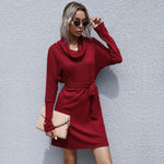 Velvet Knit Turtleneck: Sophisticated Long Dress