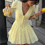 Fitted Waist Tie Embroidered Mini Dress