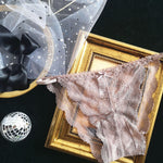 Temptation Hot Low Waist Briefs G-String - runwayfashionista.com