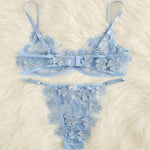Set Embroidery Applique Mesh Sexy Bra Underwear - runwayfashionista.com