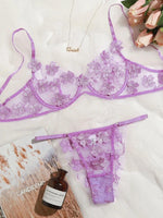 Set Embroidery Applique Mesh Sexy Bra Underwear - runwayfashionista.com