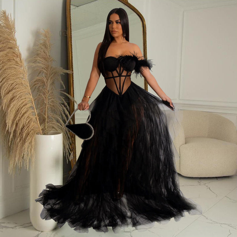 Sleeveless Bustier Mesh Long Gown