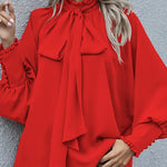 Chic Long Puff Sleeve Loose Blouse
