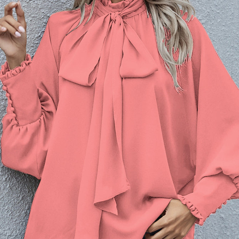 Chic Long Puff Sleeve Loose Blouse