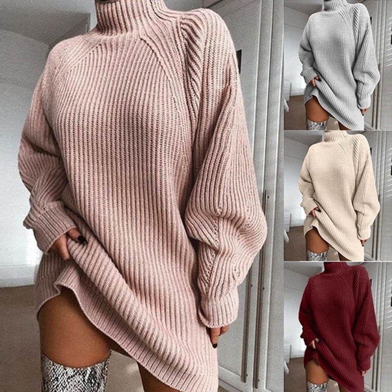 Ribbed Turtleneck Sweater Dress