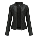 Zip-up Leather Jacket - back