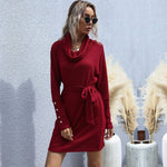 Velvet Knit Turtleneck: Sophisticated Long Dress
