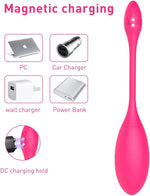Wearable Panty Vibrator G Spot Vibrating Eggs
