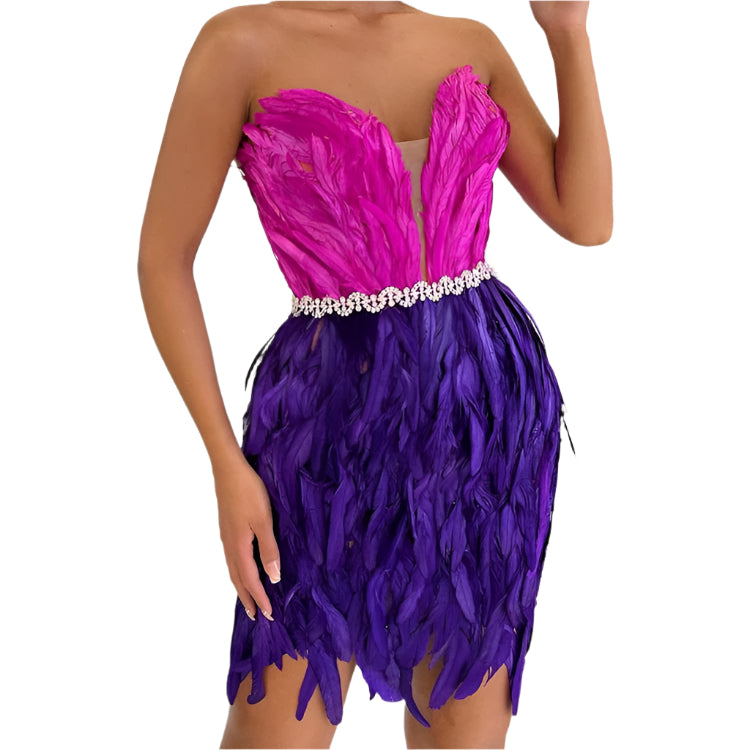 Stylish High Waist Feather Crystal Design Mini Dress