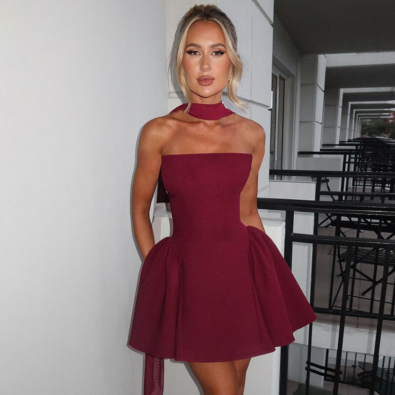 Mini Tube Top Dress With Back Zipper Design - maroon