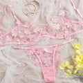 Set Embroidery Applique Mesh Sexy Bra Underwear - runwayfashionista.com