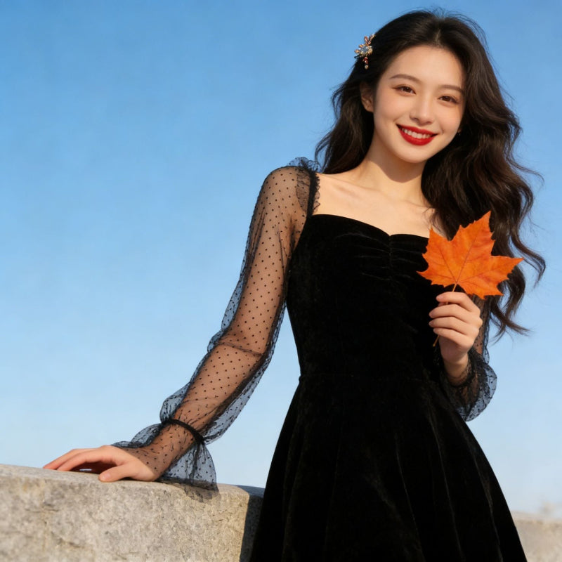 Retro Elegant Chiffon-Sleeved A-line Dress - black