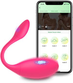 Wearable Panty Vibrator G Spot Vibrating Eggs