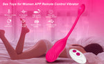 Wearable Panties Vibrator G Spot