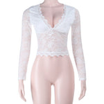 Sheer Lace V-Neck Long Sleeve Top