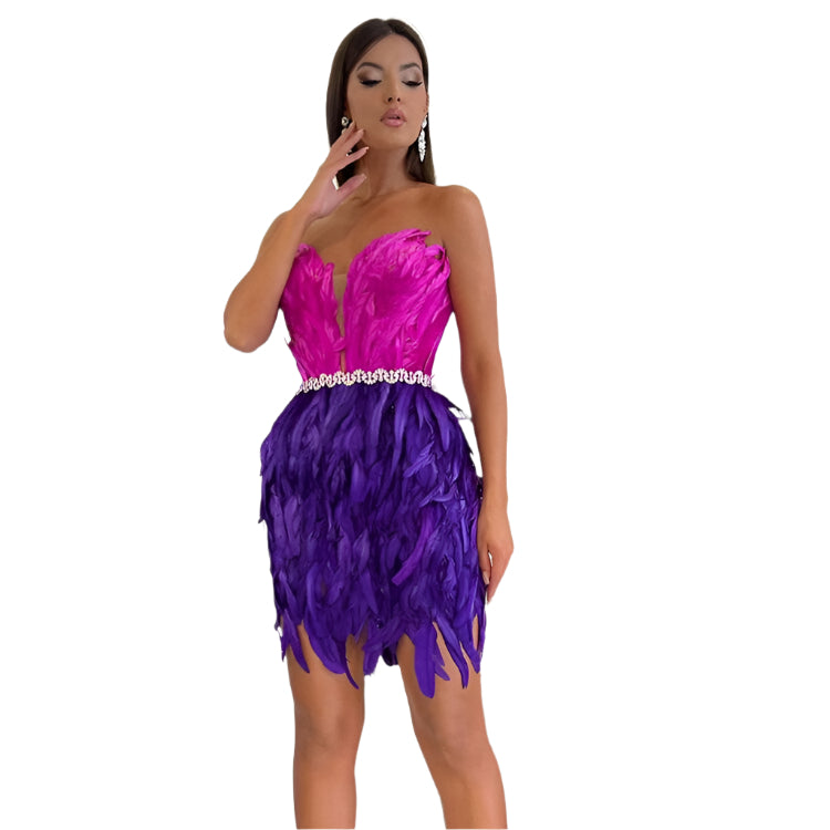 Stylish High Waist Feather Crystal Design Mini Dress