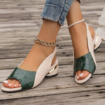 A close-up of a pair of black slip-on mid-heel sandals with a pointed toe, alongside other colors like brown, green, and red, suitable for casual wear.