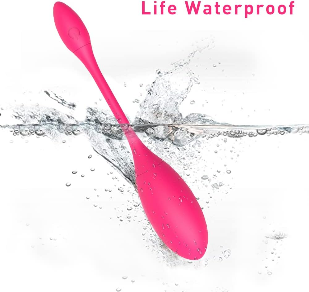 Wearable Panty Vibrator G Spot Vibrating Eggs