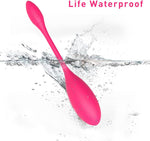 Wearable Panty Vibrator G Spot Vibrating Eggs