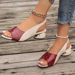 A close-up of a pair of black slip-on mid-heel sandals with a pointed toe, alongside other colors like brown, green, and red, suitable for casual wear.