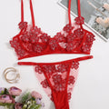 Set Embroidery Applique Mesh Sexy Bra Underwear - runwayfashionista.com